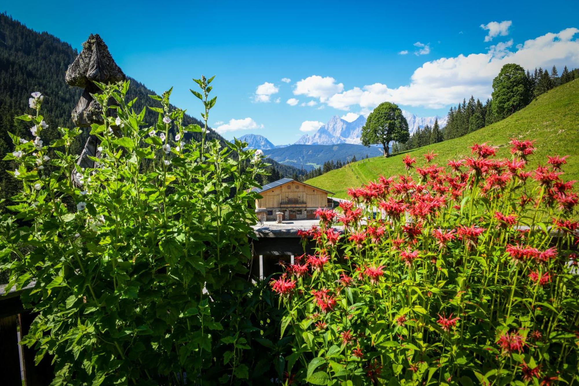 Strickhof Villa Schladming Exterior photo
