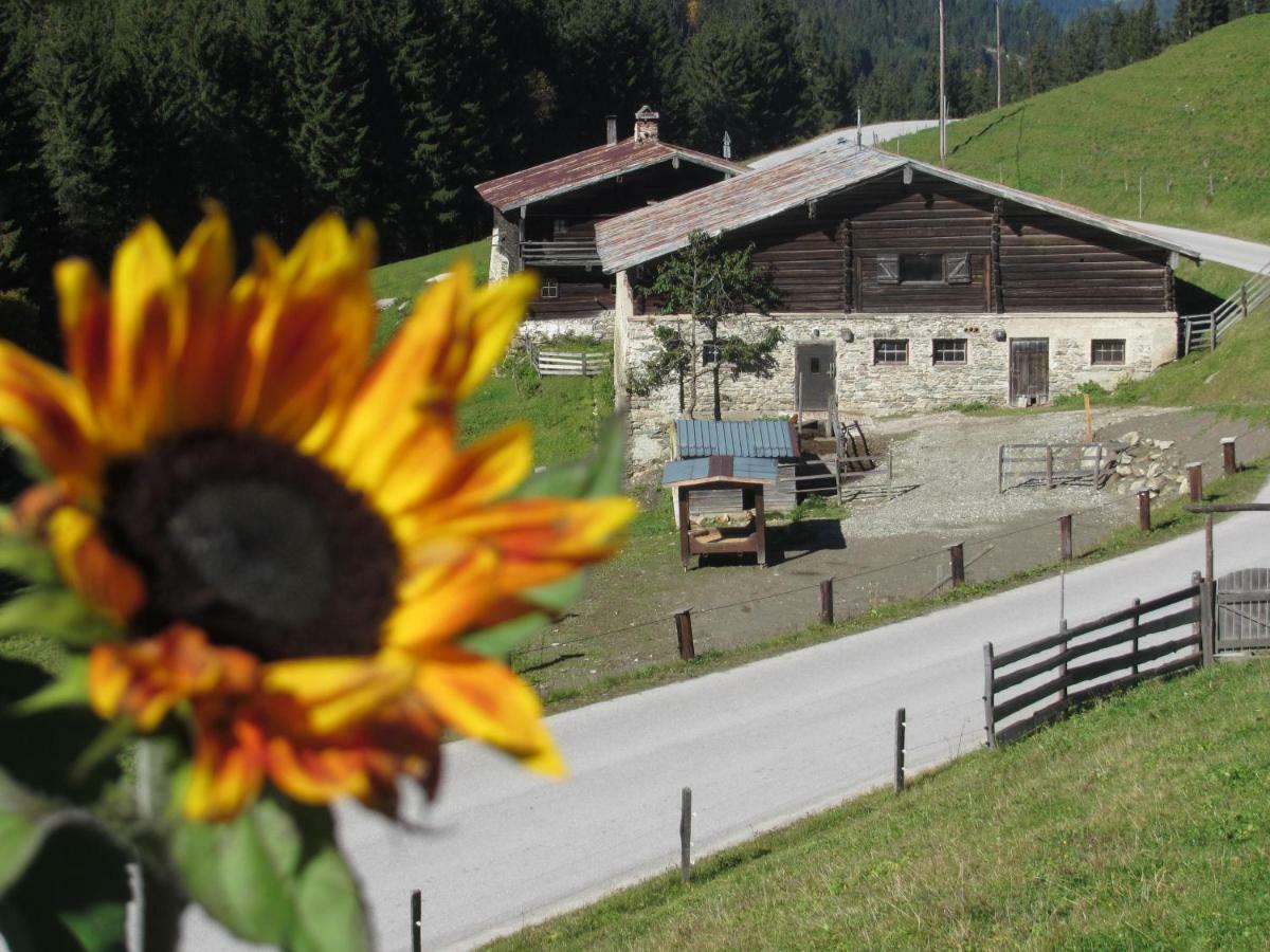 Strickhof Villa Schladming Exterior photo